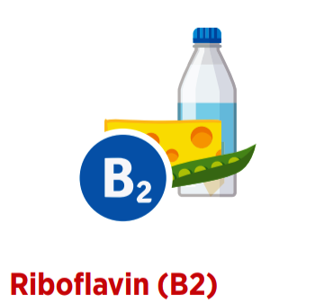 B2 Vitamini Yararları B2 Vitamini (Riboflavin)
