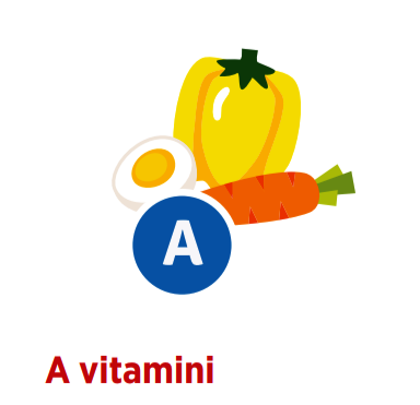  A Vitamini 