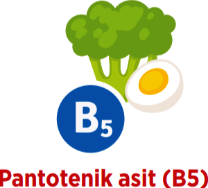  B5 Vitamini